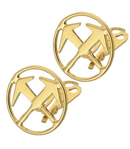 SOeREN-99620-81-front_web.jpg FHB SÖREN Ohrclip Dachdecker, gold – Bild 1